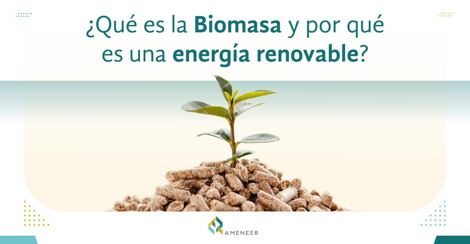 ¿Qué es la Biomasa y por qué es una energía renovable? 